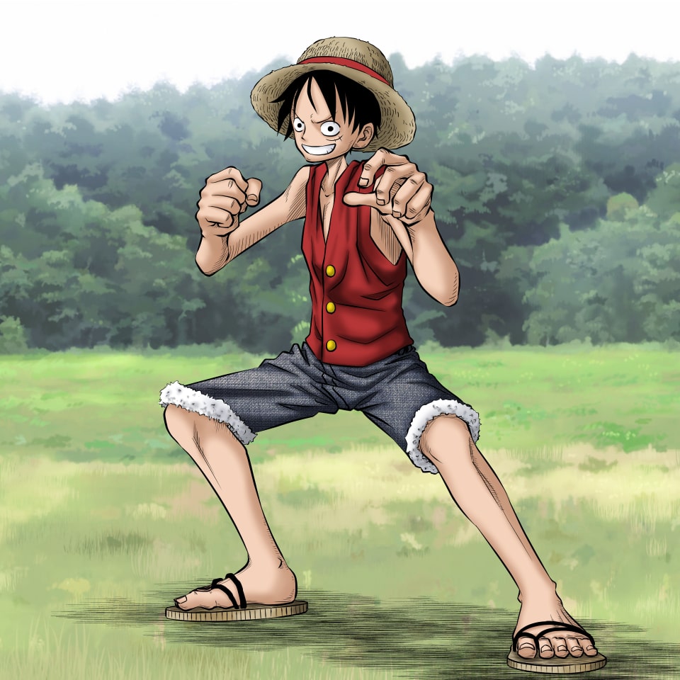 イラストサンプルワンピース編ルフィ2
